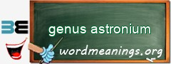 WordMeaning blackboard for genus astronium